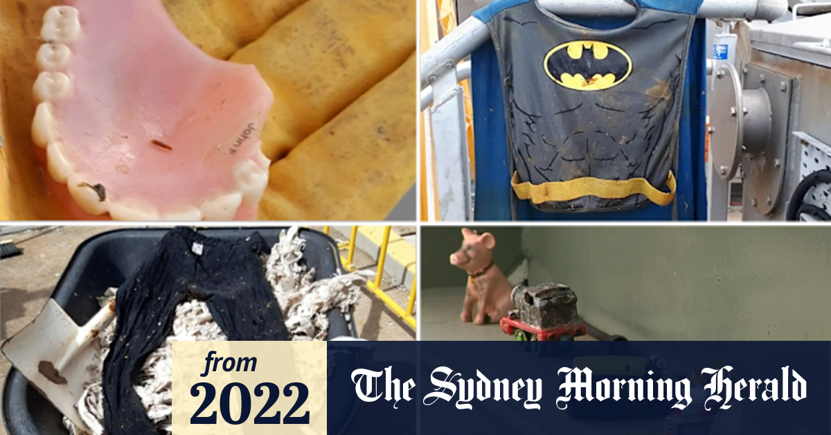 Video The top five weirdest objects flushed down South Australian toilets